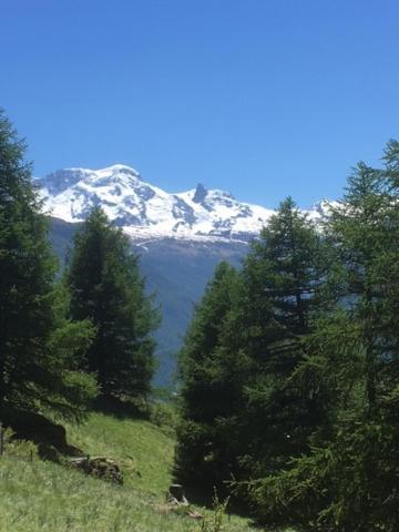 Haus Valaisia - Randa Bei Zermatt Apartment ภายนอก รูปภาพ